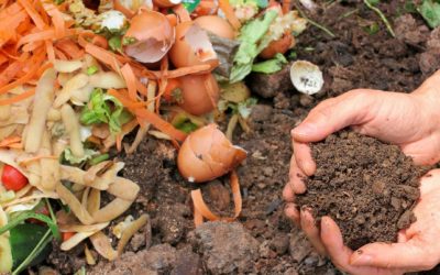 Comment commencer un compost ?